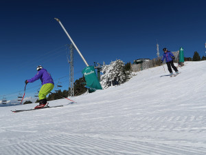 Masella