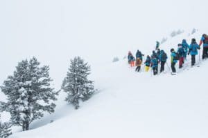 El Dorado Freeride Junior 2018