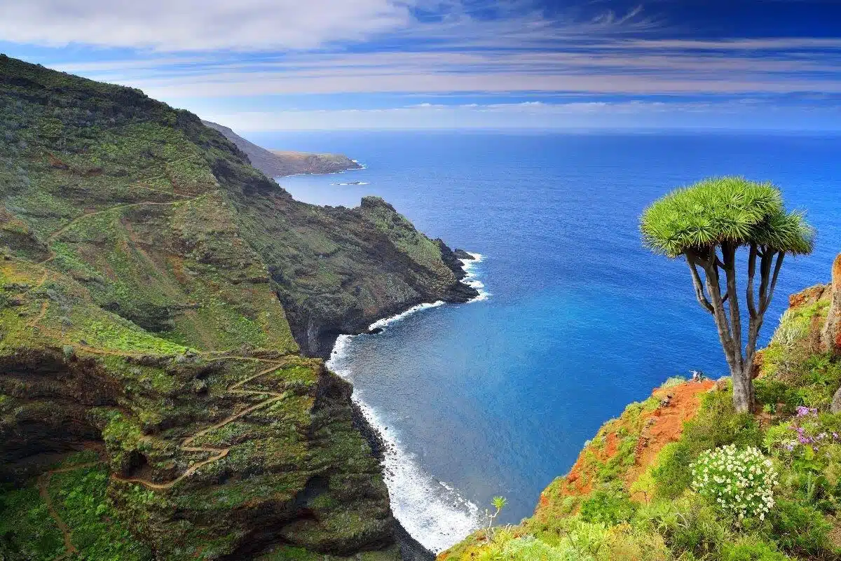 Isla de La Palma