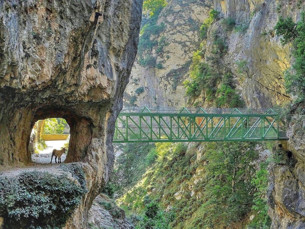 Ruta del Cares Picos de Europa