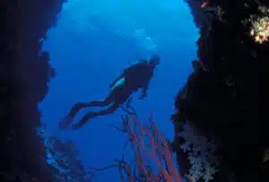 submarinismo Gran Canaria