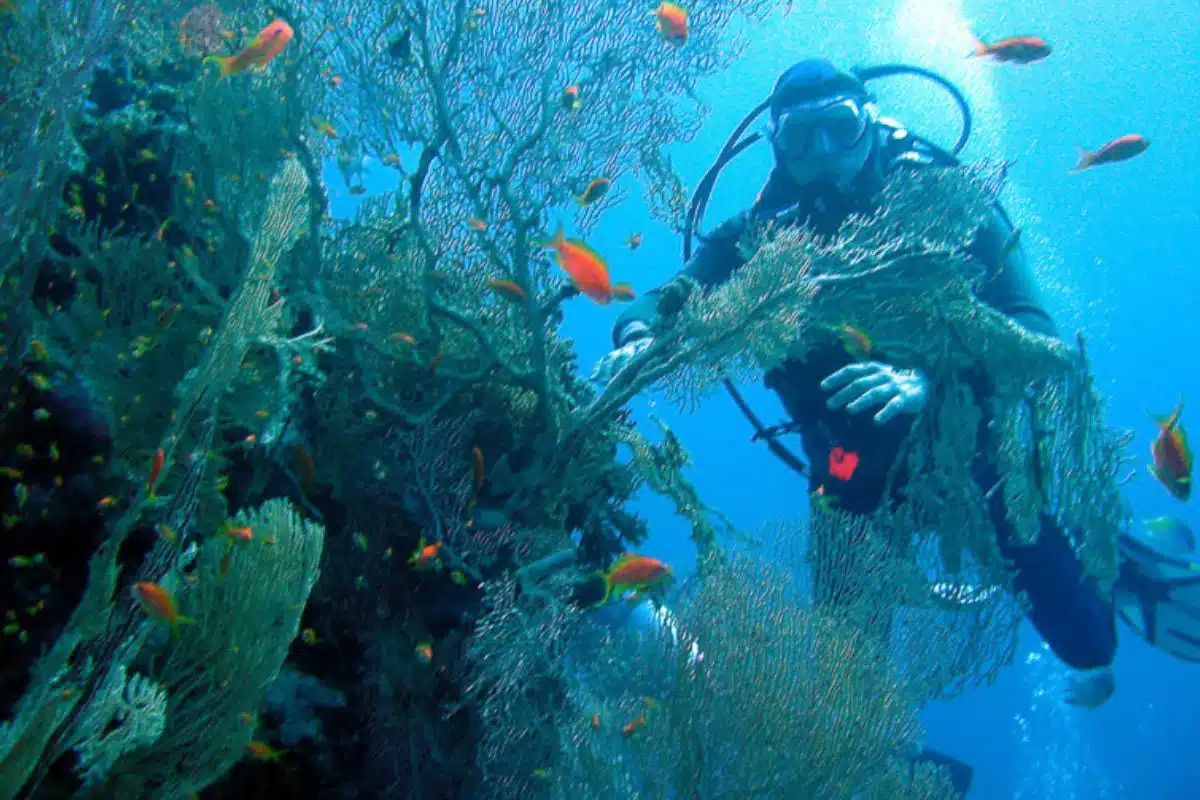 Buceo islas Medes