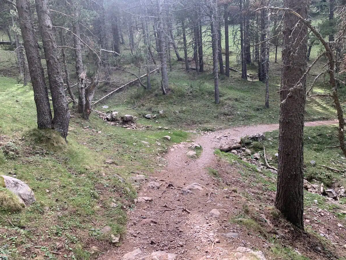 Torrent de les Bordes sin agua, durante los meses de verano.