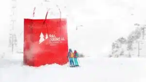 Pal Arinsal