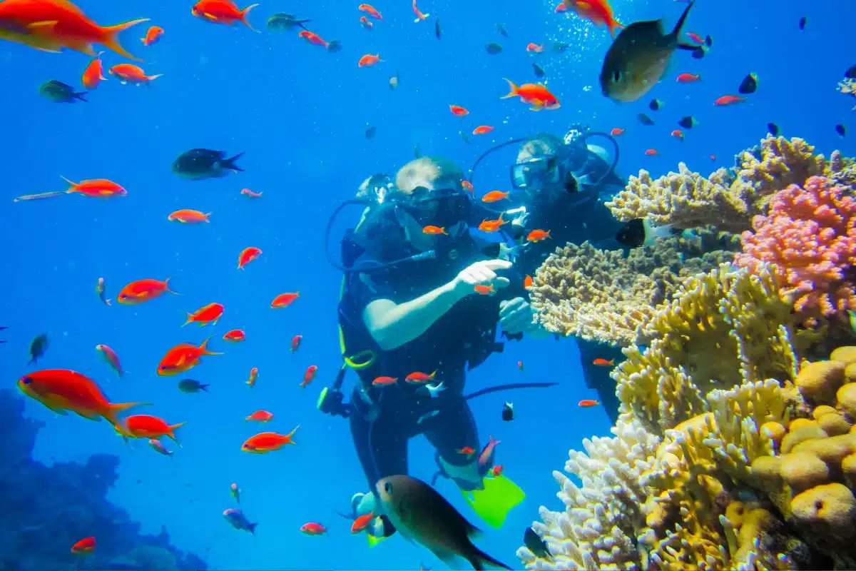 Mar Rojo submarinismo 