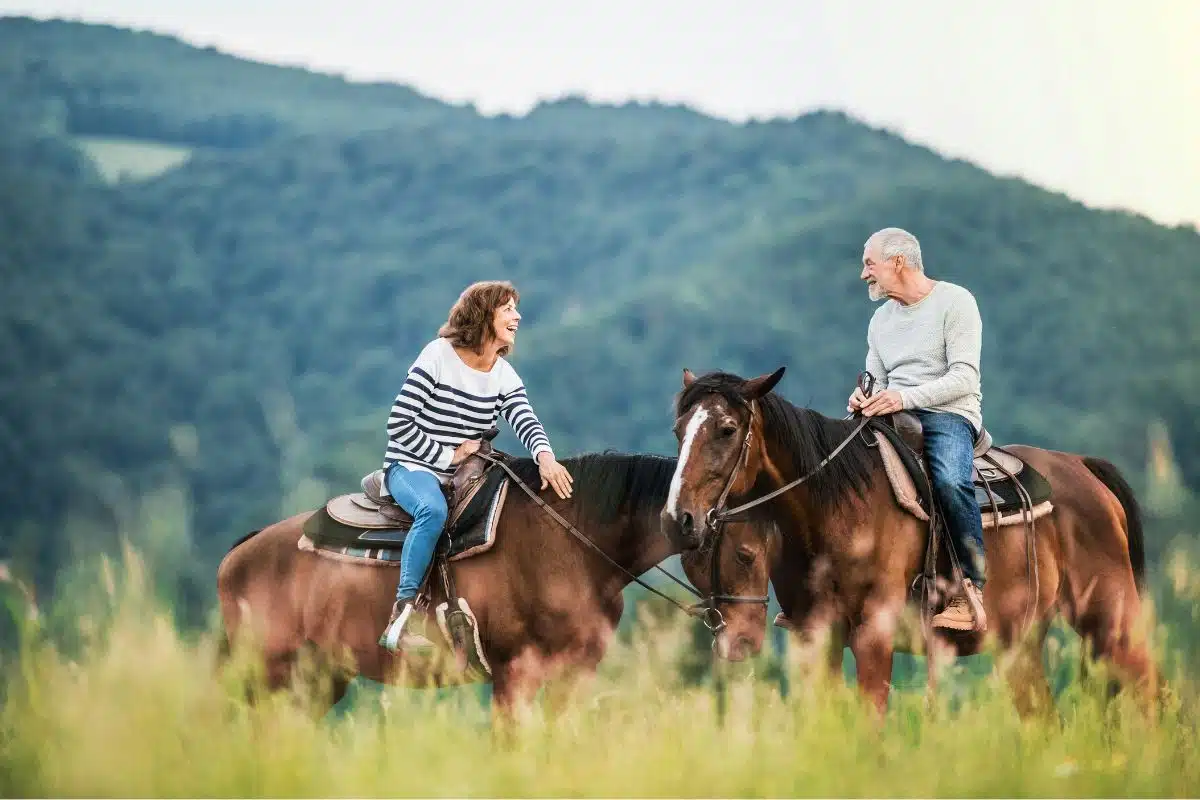 Equipamento caballo